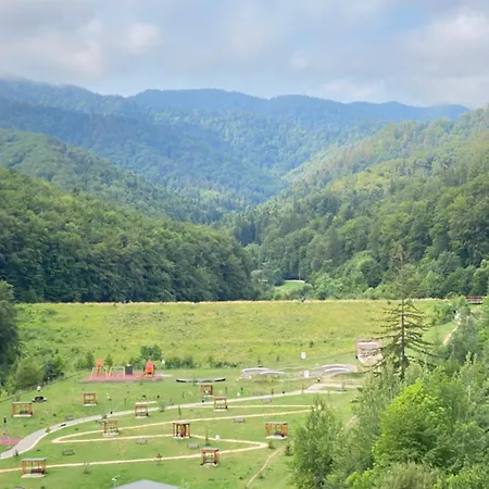 Zen La Munte Brašov