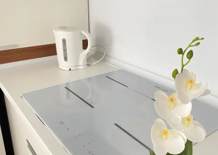 Apartment Zen La Munte *